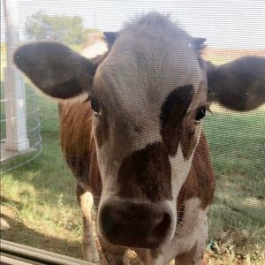 Meet your Posher, Mindy